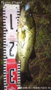 �֥�å��Х�