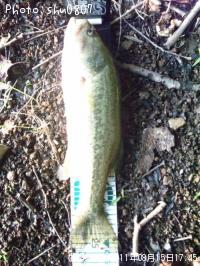 �֥�å��Х�