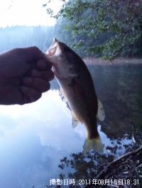 ¥Ö¥é¥Ã¥¯¥Ð¥¹