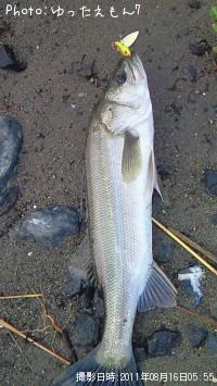 �����Х�