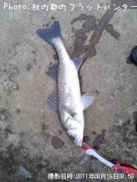 �����Х�