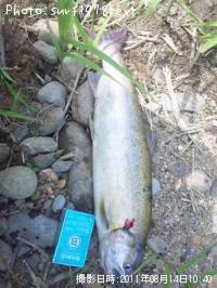 ������ޥ�