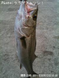 �����Х�