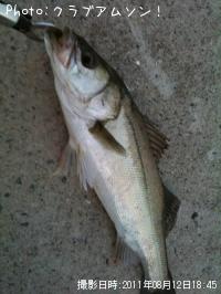 �����Х�