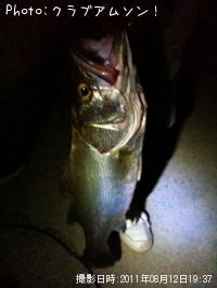 �����Х�