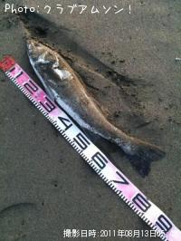 �����Х�