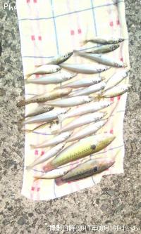 �����������ϥ����٥顢���������ޥ����յ�