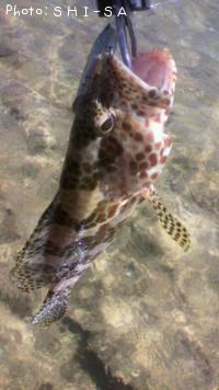 �����ߡ��Х�