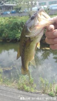 �֥�å��Х�