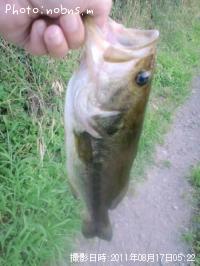 �֥�å��Х�