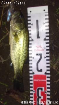 �֥�å��Х�