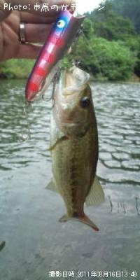 �֥�å��Х�