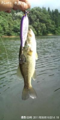 �֥�å��Х�