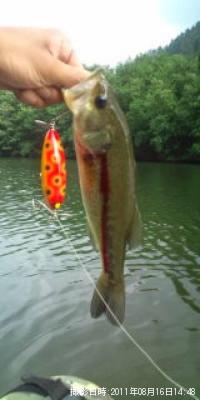 ¥Ö¥é¥Ã¥¯¥Ð¥¹