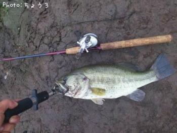 �֥�å��Х�