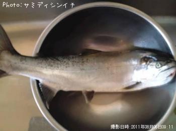 ������ޥ�