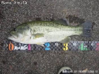 ¥Ö¥é¥Ã¥¯¥Ð¥¹