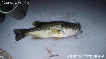 �֥�å��Х�