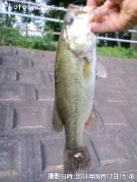 �֥�å��Х�