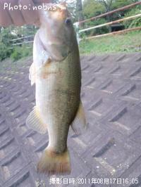 �֥�å��Х�