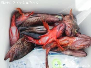 ���������ϥ�