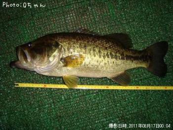 �֥�å��Х�