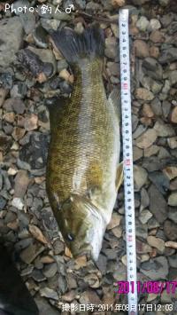 ���⡼��ޥ����Х�