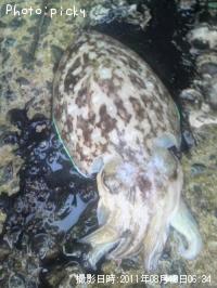 �������������ߥʥꥤ����