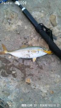 �����å�