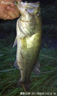 �֥�å��Х�