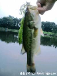 �֥�å��Х�