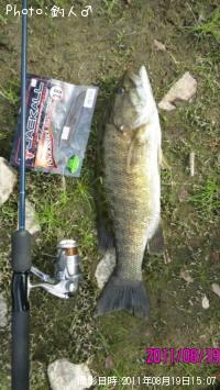 ���⡼��ޥ����Х�