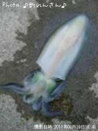 �屨±