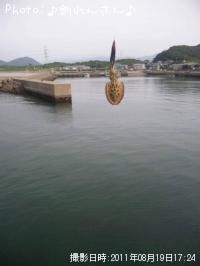 �屨±