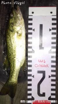 ¥Ö¥é¥Ã¥¯¥Ð¥¹