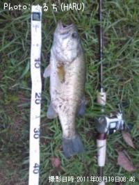 ¥Ö¥é¥Ã¥¯¥Ð¥¹