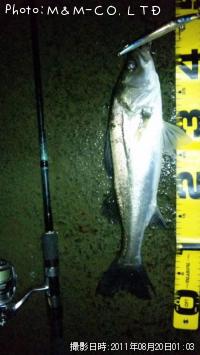 �����Х�