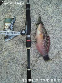 ī�������ߡ�