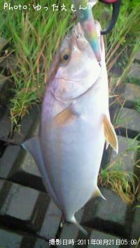 ¥«¥ó¥Ñ¥Á¤Î»Ò