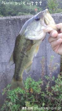 �֥�å��Х�