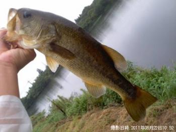 �֥�å��Х�