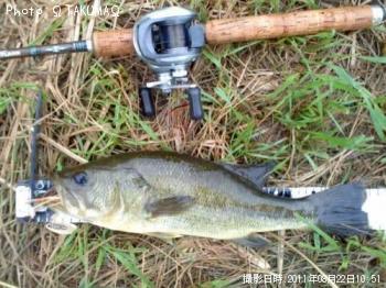 �֥�å��Х�