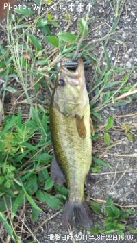 �֥�å��Х�