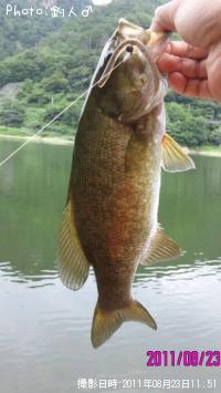 ¥¹¥â¡¼¥ë¥Þ¥¦¥¹¥Ð¥¹