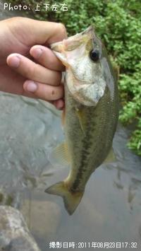 ¥Ö¥é¥Ã¥¯¥Ð¥¹