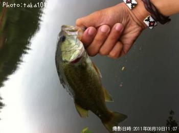 ¥Ö¥é¥Ã¥¯¥Ð¥¹