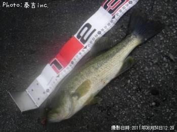 �֥�å��Х�