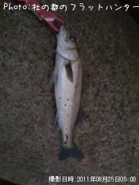 �����Х�