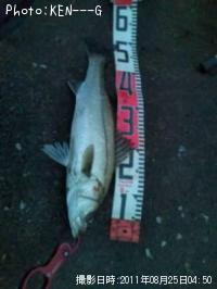 �����Х�