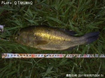 ¥Ö¥é¥Ã¥¯¥Ð¥¹